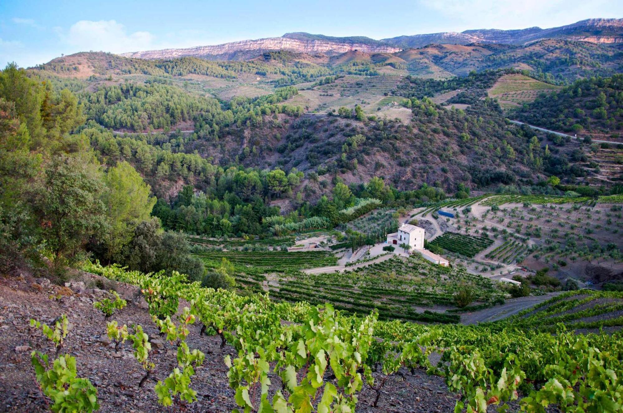 Mas Alsera. Masoveria D'Agroturisme Torroja Bagian luar foto